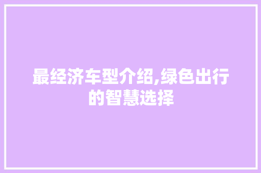 最经济车型介绍,绿色出行的智慧选择