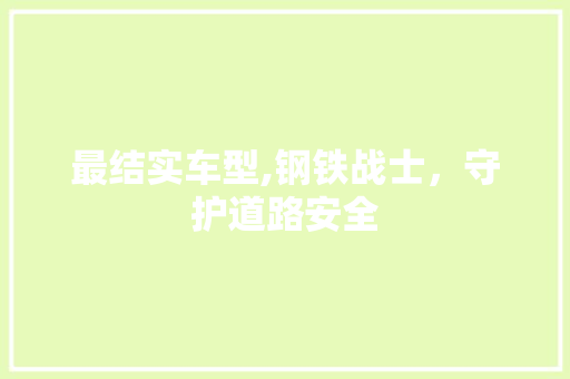 最结实车型,钢铁战士，守护道路安全