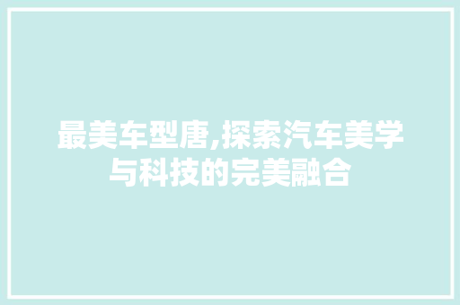 最美车型唐,探索汽车美学与科技的完美融合