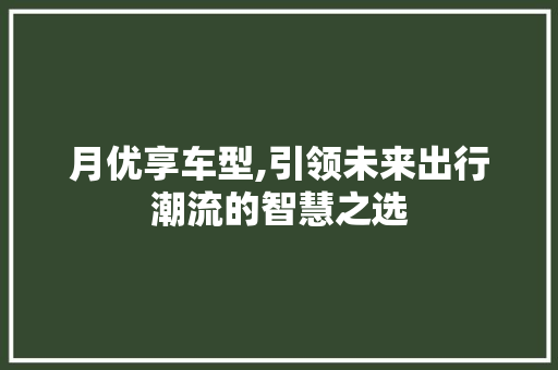 月优享车型,引领未来出行潮流的智慧之选