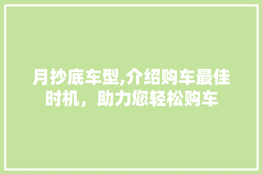 月抄底车型,介绍购车最佳时机，助力您轻松购车