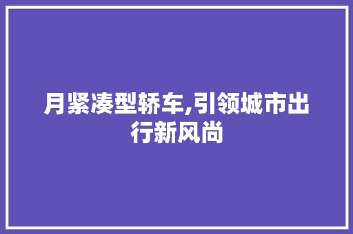 月紧凑型轿车,引领城市出行新风尚