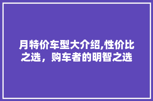 月特价车型大介绍,性价比之选，购车者的明智之选