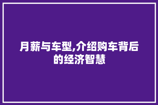 月薪与车型,介绍购车背后的经济智慧