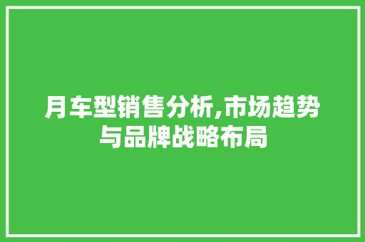 月车型销售分析,市场趋势与品牌战略布局