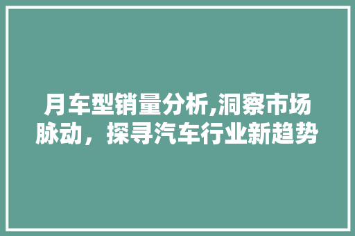 月车型销量分析,洞察市场脉动，探寻汽车行业新趋势