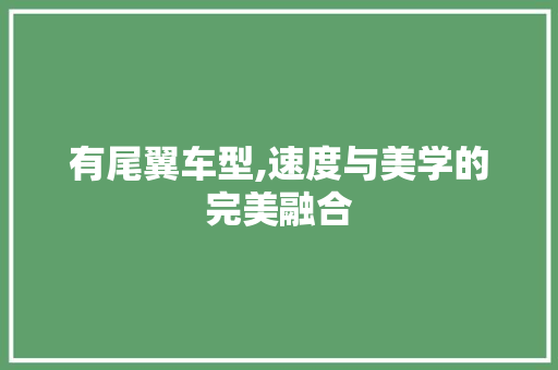 有尾翼车型,速度与美学的完美融合