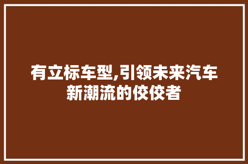 有立标车型,引领未来汽车新潮流的佼佼者