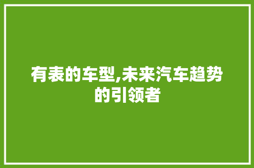有表的车型,未来汽车趋势的引领者