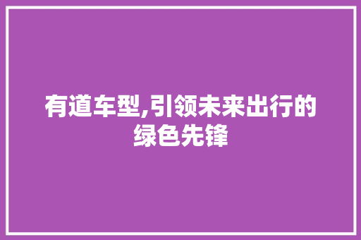 有道车型,引领未来出行的绿色先锋