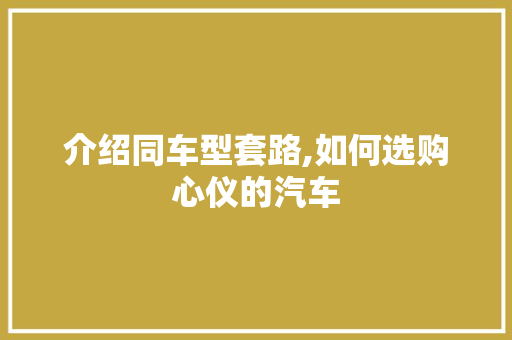 介绍同车型套路,如何选购心仪的汽车