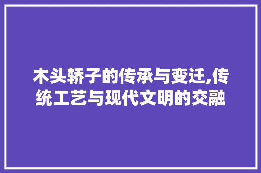 木头轿子的传承与变迁,传统工艺与现代文明的交融