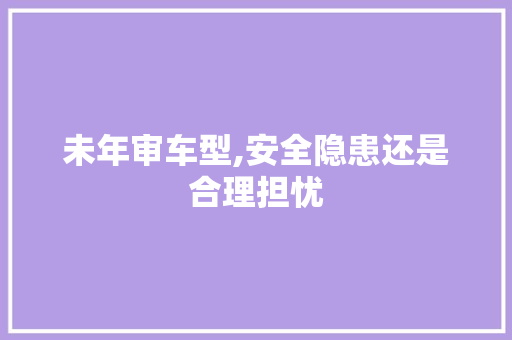 未年审车型,安全隐患还是合理担忧