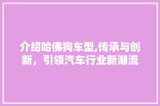 介绍哈佛狗车型,传承与创新，引领汽车行业新潮流