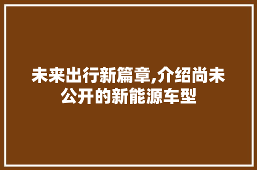 未来出行新篇章,介绍尚未公开的新能源车型