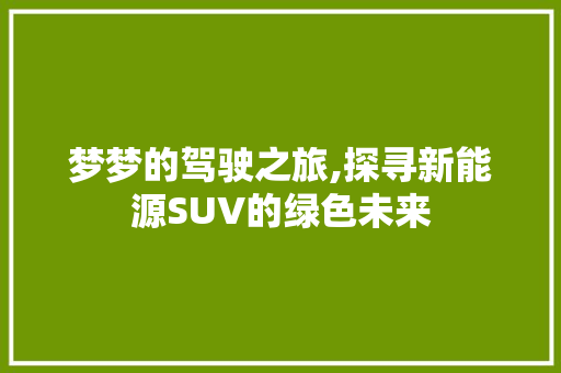 梦梦的驾驶之旅,探寻新能源SUV的绿色未来