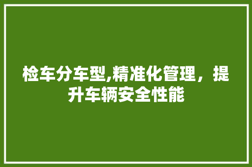 检车分车型,精准化管理，提升车辆安全性能