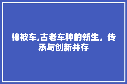 棉被车,古老车种的新生，传承与创新并存
