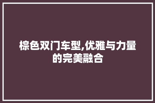 棕色双门车型,优雅与力量的完美融合