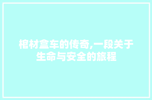棺材盒车的传奇,一段关于生命与安全的旅程