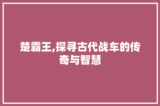 楚霸王,探寻古代战车的传奇与智慧