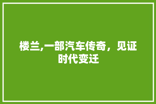 楼兰,一部汽车传奇，见证时代变迁