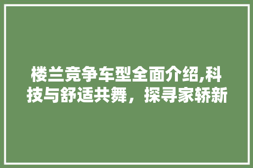 楼兰竞争车型全面介绍,科技与舒适共舞，探寻家轿新标杆