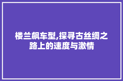 楼兰飙车型,探寻古丝绸之路上的速度与激情