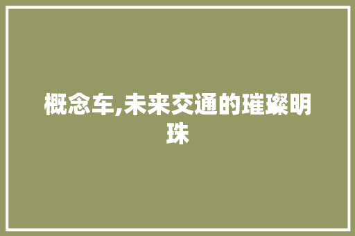 概念车,未来交通的璀璨明珠