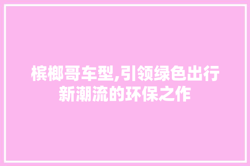 槟榔哥车型,引领绿色出行新潮流的环保之作 蓄电池配件