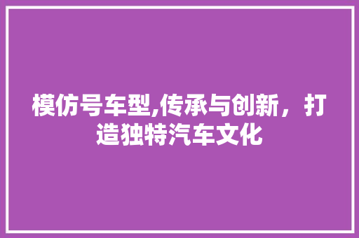 模仿号车型,传承与创新，打造独特汽车文化