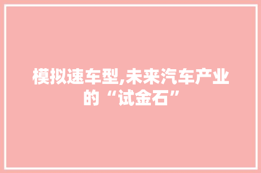 模拟速车型,未来汽车产业的“试金石”