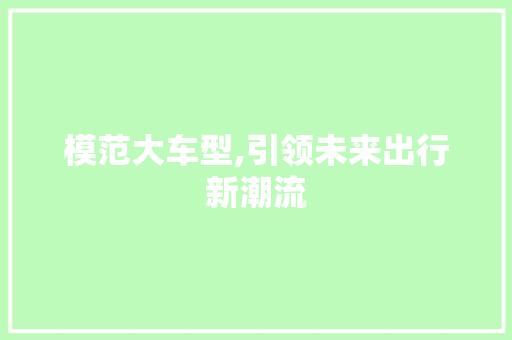 模范大车型,引领未来出行新潮流