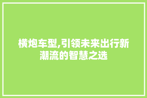 横炮车型,引领未来出行新潮流的智慧之选