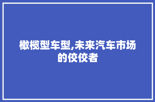 橄榄型车型,未来汽车市场的佼佼者