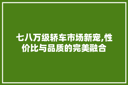 七八万级轿车市场新宠,性价比与品质的完美融合