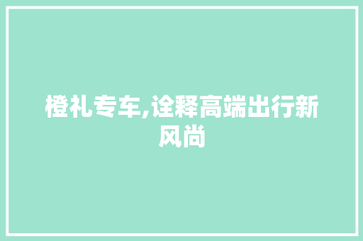 橙礼专车,诠释高端出行新风尚