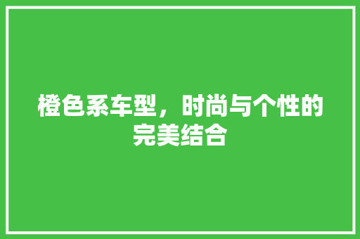 橙色系车型，时尚与个性的完美结合