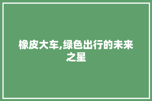 橡皮大车,绿色出行的未来之星