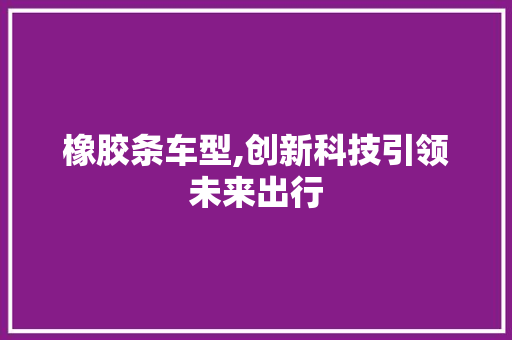 橡胶条车型,创新科技引领未来出行