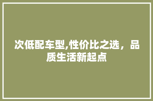 次低配车型,性价比之选，品质生活新起点