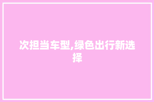 次担当车型,绿色出行新选择