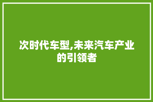 次时代车型,未来汽车产业的引领者