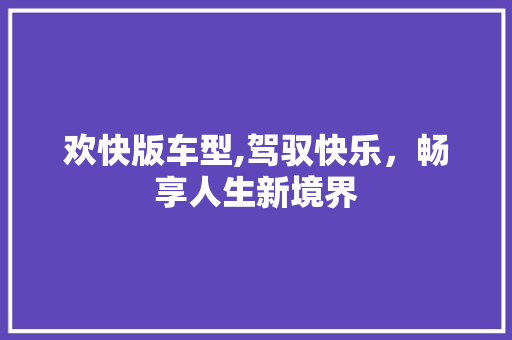 欢快版车型,驾驭快乐，畅享人生新境界 汽车配件