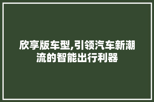 欣享版车型,引领汽车新潮流的智能出行利器