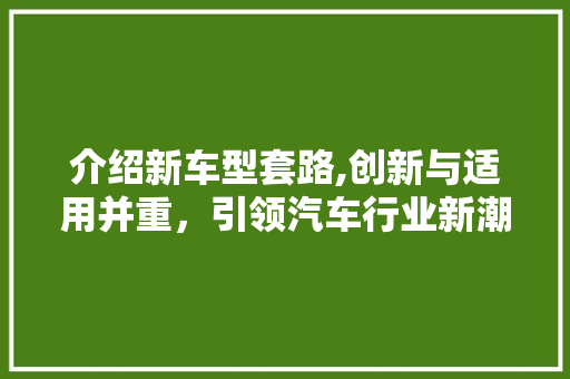 介绍新车型套路,创新与适用并重，引领汽车行业新潮流