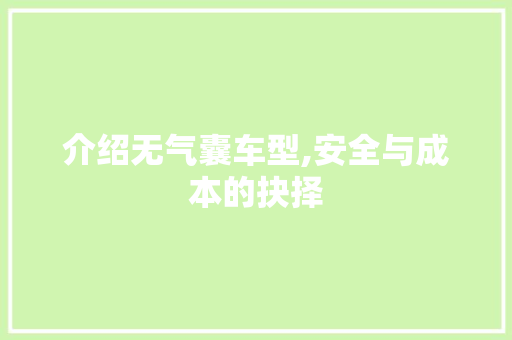 介绍无气囊车型,安全与成本的抉择