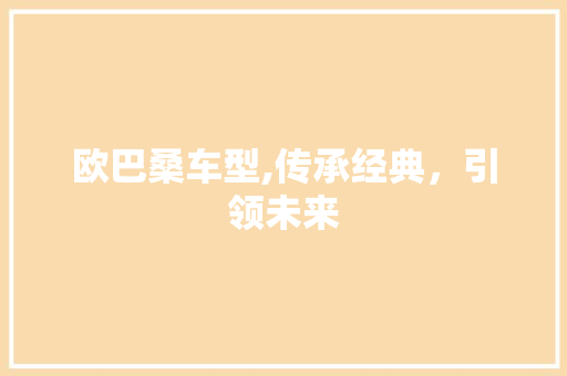 欧巴桑车型,传承经典，引领未来