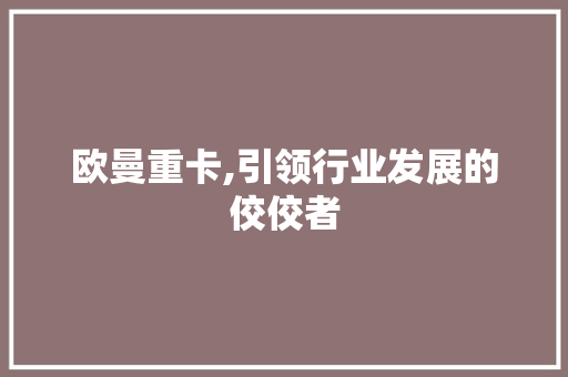 欧曼重卡,引领行业发展的佼佼者