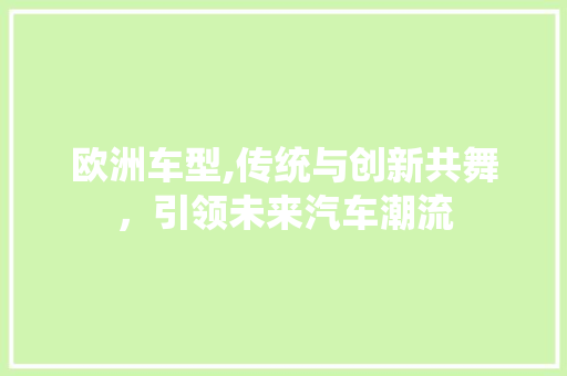 欧洲车型,传统与创新共舞，引领未来汽车潮流